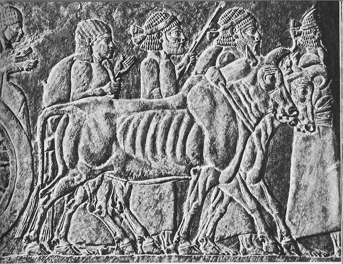 Ninevah relief depicting deportation