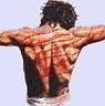 Jesus' strips on his back.