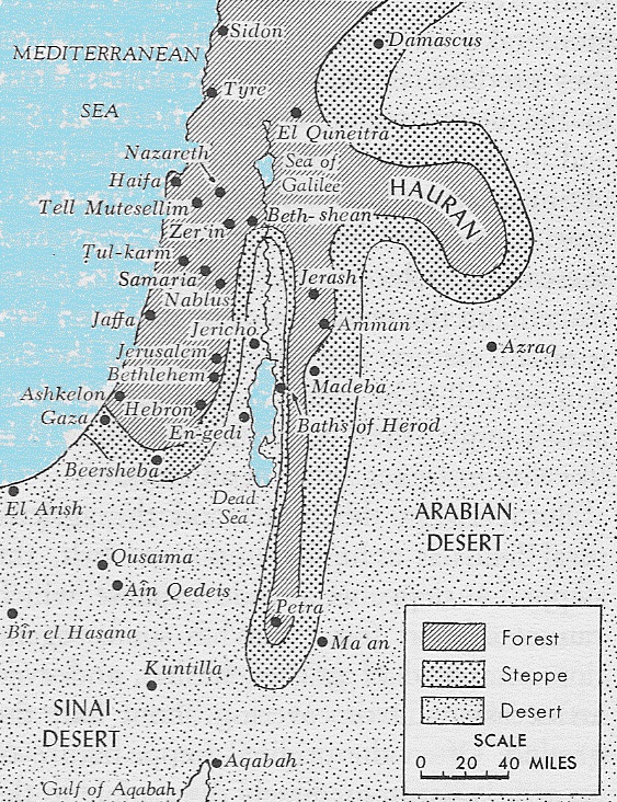 Topographic zones of Palestine