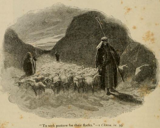 To seek pasture for their flocks