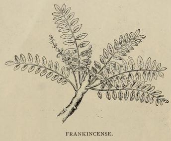 Frankincense