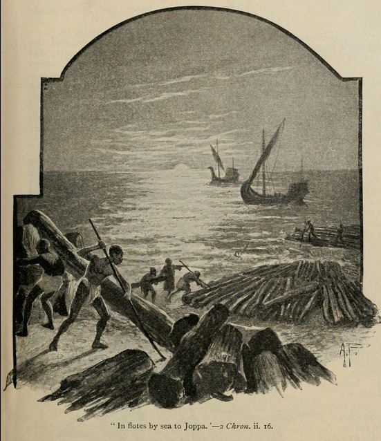 Cedar Log Floats on the Sea by Joppa