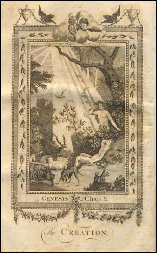 Creation of Adam And Eve