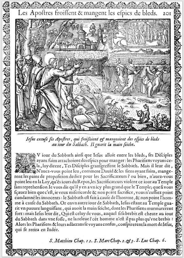 Jesus the Lord of the Sabbath