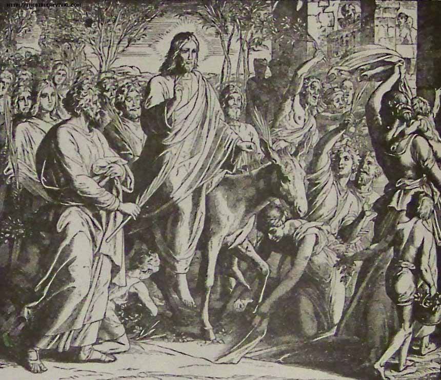 Christ Entry in Jerusalem